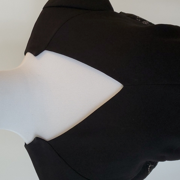 Tahari Sheath Dress - Lace - Picture 6 of 10